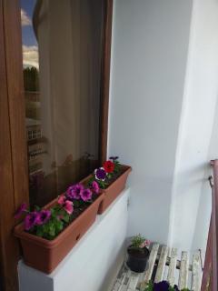 Sunny Aura apartment - 5