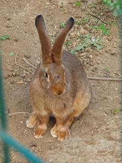 Azienda Agricola Sinisi - 7
