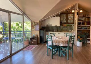 Nino's Veranda Apartment - Telavi - 9