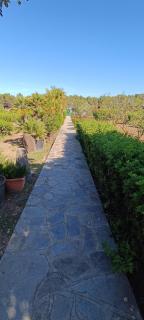 Orosei RE - Villa Aurora Rimedia a 50 metri dal mare - Orosei - 1