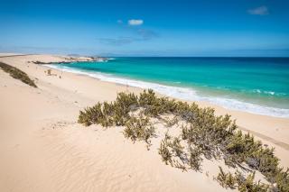 Home2Book Stunning Sultan Casa Estrella, Wifi&Pool - Corralejo - 5