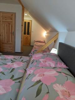 Chalupa u rybníka Střehom - 1