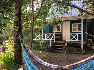 No Estamos Locos - 7