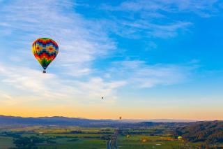 Sonoma Vista Dreams - 7