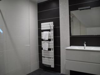 Studio de charme à la ferme près de Lille, 50m² avec cuisine équipée et parking sécurisé - FR-1-510-173 - Halluin - 8