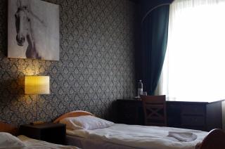 Villand Hotel with Free Private Parking and Self Check In - Riga - 4