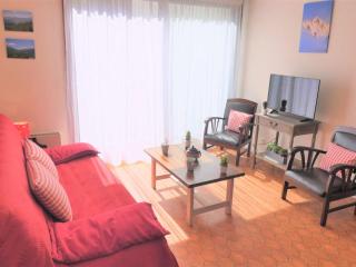 Charmant T2 avec Balcon et Garage - 6 couchages à Saint-Lary-Soulan - FR-1-457-149 - Saint-Lary-Soulan - 0