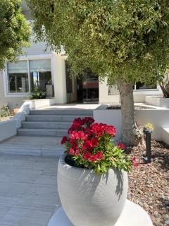 Ninemia Beach Hotel & Suites - Agia Marina de Nea Kydonia - 1