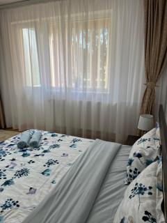 Apartament Andrei Baile Felix - Baile Felix - 8