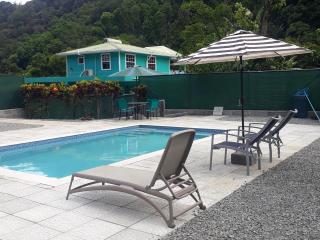 Amazon Villas - Soufriere - 4