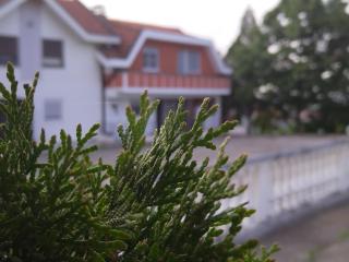 Venera apartman - 1