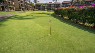 Oceanfront Corner 1BR Full Resort Access - Kahana - 7