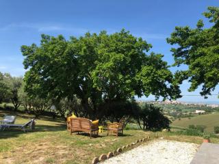 Agriturismo - Apis in tabula - Ostra - 7