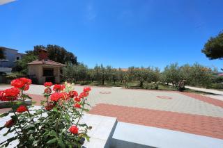 Apartmani Bruno - Bibinje - 7