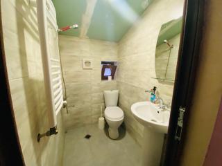 ბორჯომი საოჯახო სასტუმრო "გიომანი" Borjomi Guest House "GioMaNi" დასვენება ბორჯომში "GioMaNi" - 1
