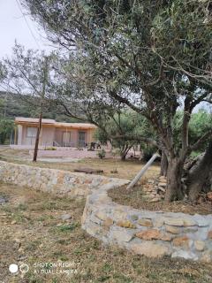 Sun and Sea 2 Elika Lakonias - 3