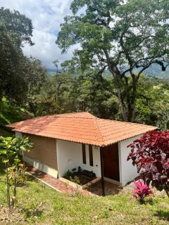 Reserva de Gomalu - 4