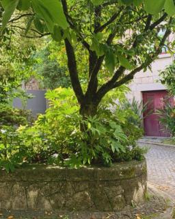 Casa Dos Tinocos - Braga - 5