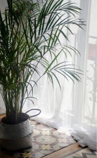 Apartamentos San Hiscio - Tarifa - 8