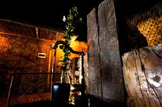 Nueva Lodge La Estación San Pedro de Atacama - 7