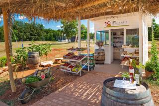 Happy Camp Mobile Homes in Camping Park Umag - Umag - 5