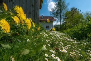 Ferienhaus Schlierachtal - Miesbach - 2