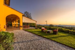 Tenuta Risalpiano - Pelago - 9