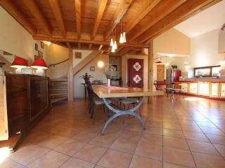Gîte familial avec équipement bébé, terrasse et jardin clos à Roche-en-Régnier - FR-1-582-192 - Roche-en-Régnier - 6