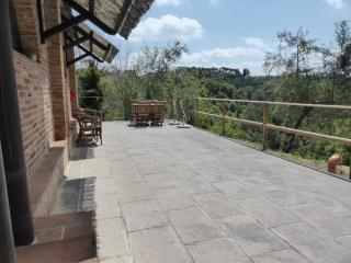 Fattoria di Colleoli - Colleoli - 3