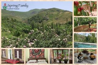 Spring Family Guest House - 8