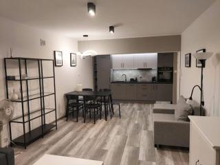 Uroczy apartament w ścisłym centrum Giżycka - Giżycko - 3