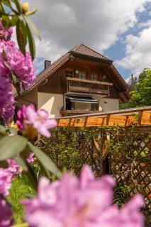 Zur Triftsperre - Passau - 9