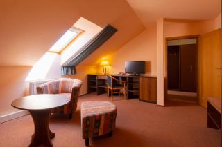 Hotel Mohelnice - Mohelnice - 8