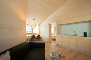 WarthsAp Apartmenthaus - Warth am Arlberg - 8