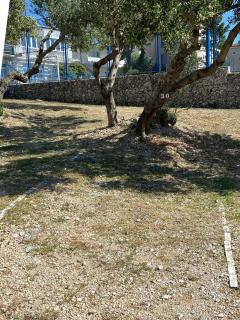 Apartments Lucija - Baška Voda - 6