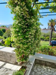 Stone House in Buljarica - Petrovac na Moru - 9
