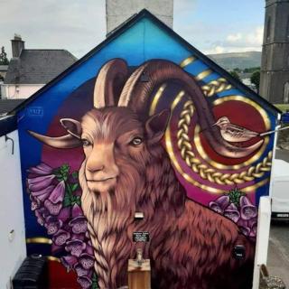 'Kealan' Luxury Double Room - Foxford - 2