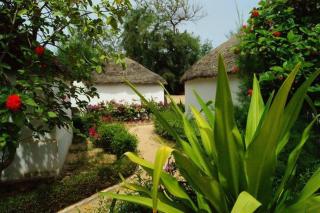 Eco-Lodge Hotel Oasis Fishing - Saint-Louis - 6