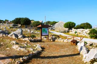 Ai piedi di Cofano - Custonaci - 8