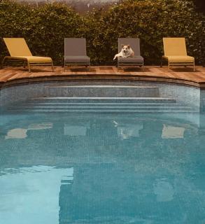 Villa Eva des landes - 8