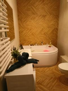 Apartament z Jacuzzi i Sauna - Radom - 1