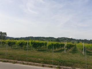 Locazione turistica da Toio - Marcatelli - 2