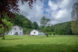 Tucking Mill - 3 Bedroom Holiday Home - Stepaside - 4