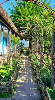 5 Chirpici - Small Traditional Resort - Murighiol - 1