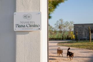 Masseria Piana Cimino - Pietra Montecorvino - 9
