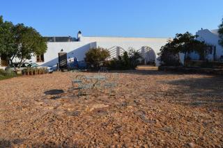 Cortijo el Campillo - Los Albaricoques - 4