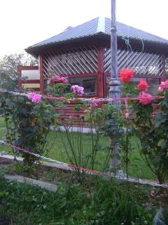 SOBE I APARTMANI HADZICI RENT rooms apartments - Hadžići - 9