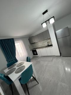 Borșa ApartHotel 4 - Borşa - 3
