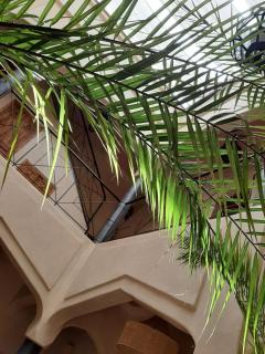 Riad Sabah - 0
