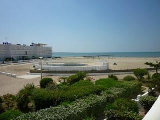 T2, Belle Terrasse Sud, Piscine, Le Grau du Roi - FR-1-250-235 - Le Grau-du-Roi - 0